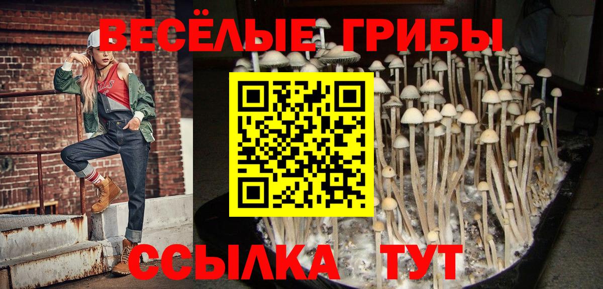 Галлюциногенные грибы ЛСД  Вход с VPN  Киселёвск 